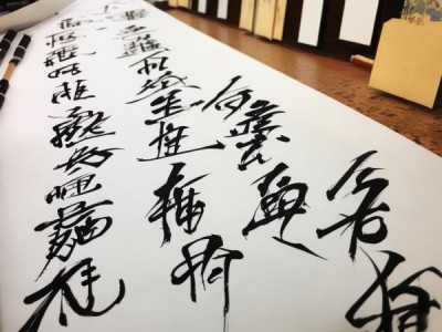 世伟书画工作室硬笔书法展，文化传承与艺术风采