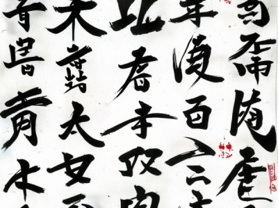 千字文书法笔画动态图，探寻书法艺术魅力与传承之旅