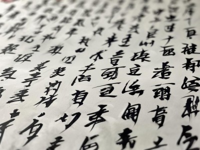 六年级学生硬笔书画中的古韵诗意