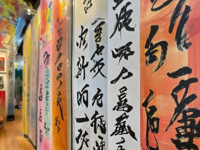墨舞丹青，笔尖绘梦，硬笔书法艺术盛宴