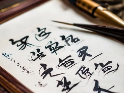墨舞丹青，书法艺术之旅