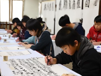 书画家协会硬笔书法考级，探索传承与创新的艺术征途