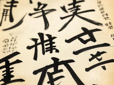 硬笔书法新韵，传统与现代交融图